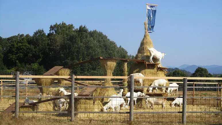 ぎふ清流里山公園 「里山ふれあい牧場」