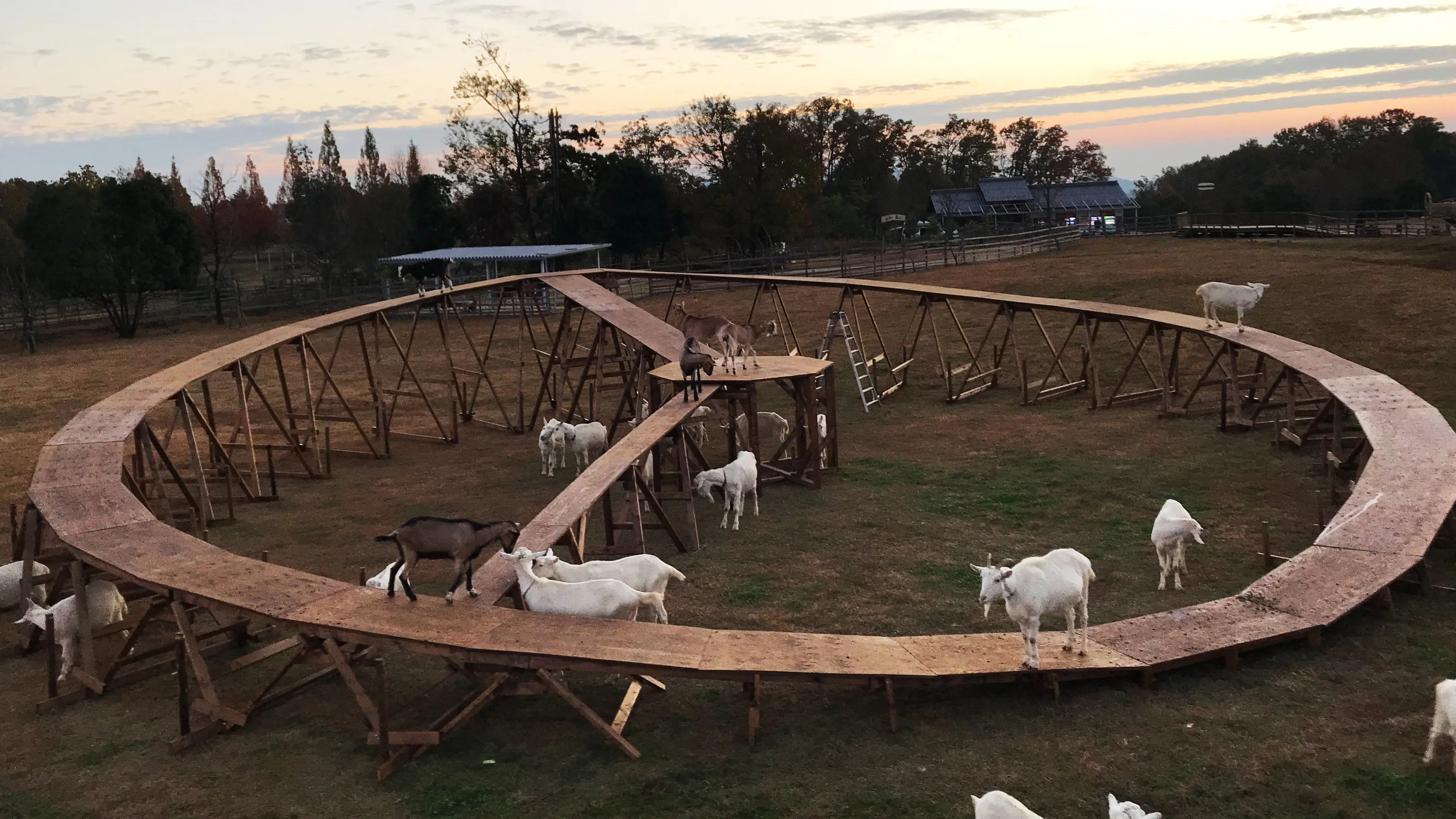 ぎふ清流里山公園 「里山ふれあい牧場」