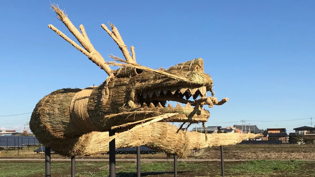 冬のおやま田んぼアート